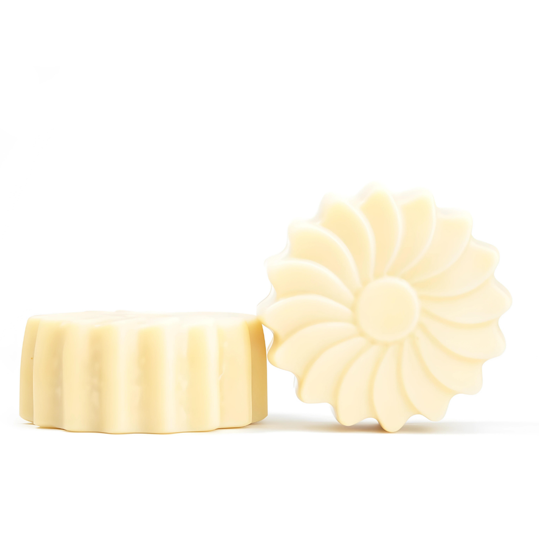 Acondicionador Sólido Reparador 75g